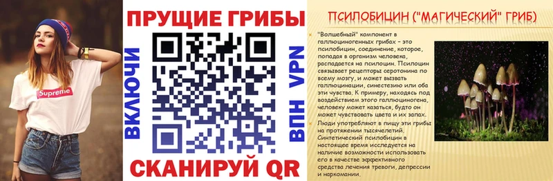 Галлюциногенные грибы мицелий закладки Инта